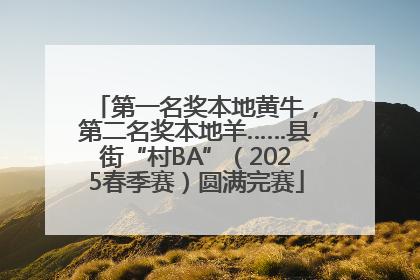 第一名奖本地黄牛，第二名奖本地羊……县街“村BA”（2025春季赛）圆满完赛