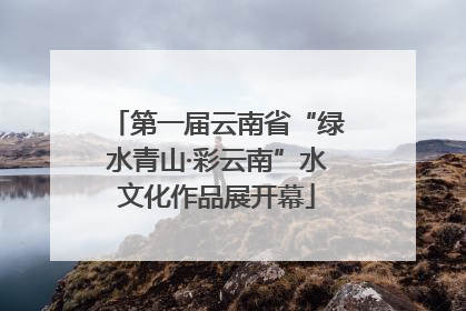 第一届云南省“绿水青山·彩云南”水文化作品展开幕