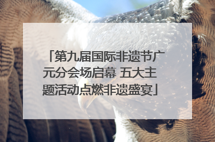 第九届国际非遗节广元分会场启幕 五大主题活动点燃非遗盛宴