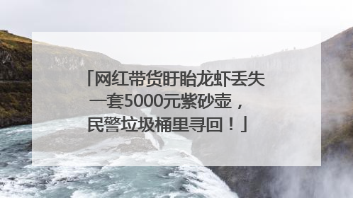 网红带货盱眙龙虾丢失一套5000元紫砂壶，民警垃圾桶里寻回！