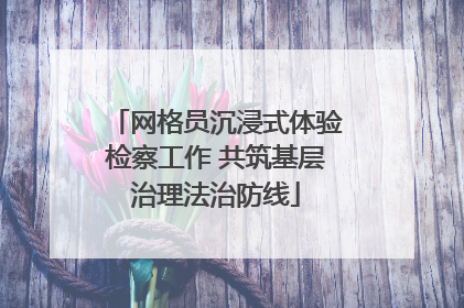网格员沉浸式体验检察工作 共筑基层治理法治防线
