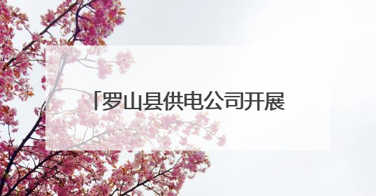 罗山县供电公司开展信通专业防汛演练