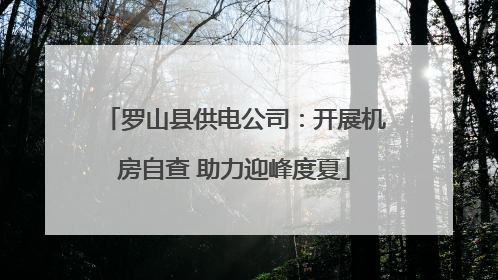 罗山县供电公司：开展机房自查 助力迎峰度夏