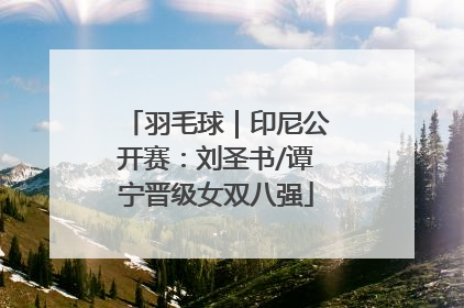 羽毛球｜印尼公开赛：刘圣书/谭宁晋级女双八强