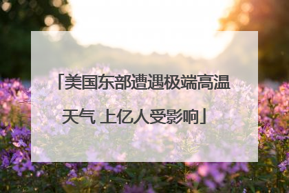 美国东部遭遇极端高温天气 上亿人受影响