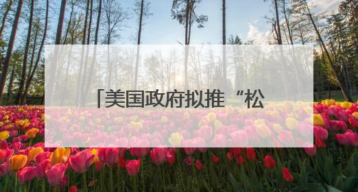 美国政府拟推“松绑版”发电新方案