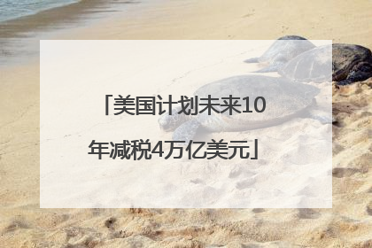 美国计划未来10年减税4万亿美元