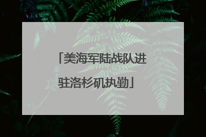 美海军陆战队进驻洛杉矶执勤
