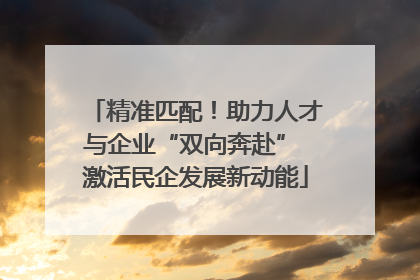 精准匹配！助力人才与企业“双向奔赴” 激活民企发展新动能