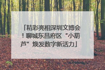 精彩亮相深圳文博会！聊城东昌府区“小葫芦”焕发数字新活力