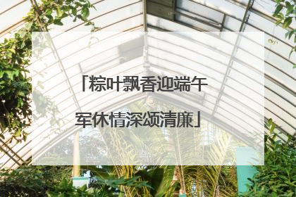 粽叶飘香迎端午 军休情深颂清廉