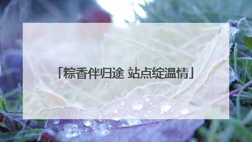 粽香伴归途 站点绽温情