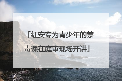 红安专为青少年的禁毒课在庭审现场开讲