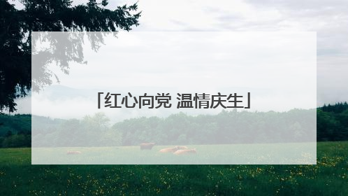 红心向党 温情庆生
