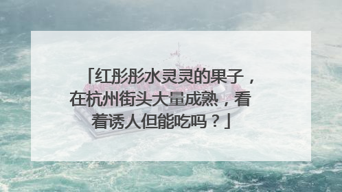 红彤彤水灵灵的果子，在杭州街头大量成熟，看着诱人但能吃吗？