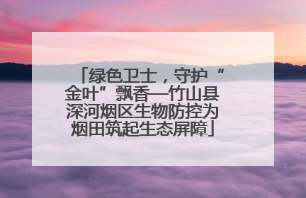 绿色卫士，守护“金叶”飘香—竹山县深河烟区生物防控为烟田筑起生态屏障