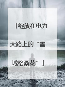 绽放在电力天路上的“雪域格桑花”