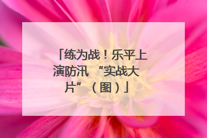 练为战！乐平上演防汛 “实战大片”（图）