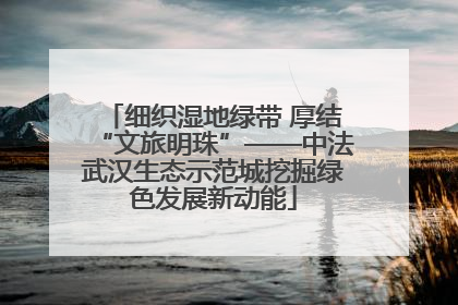 细织湿地绿带 厚结“文旅明珠”——中法武汉生态示范城挖掘绿色发展新动能