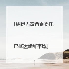 绍伊古奉普京委托已抵达朝鲜平壤