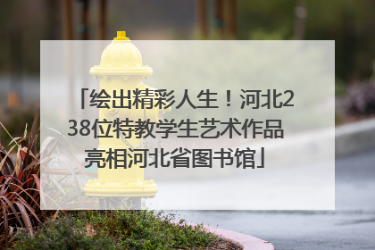 绘出精彩人生！河北238位特教学生艺术作品亮相河北省图书馆