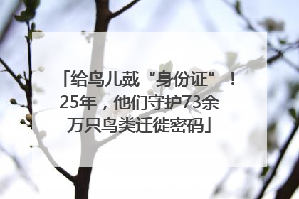 给鸟儿戴“身份证”！25年，他们守护73余万只鸟类迁徙密码