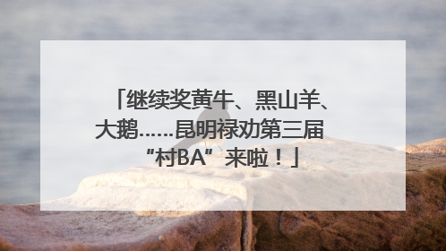 继续奖黄牛、黑山羊、大鹅……昆明禄劝第三届“村BA”来啦！