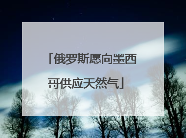 俄罗斯愿向墨西哥供应天然气