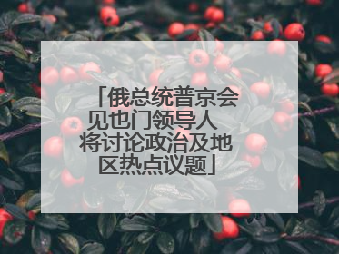 俄总统普京会见也门领导人 将讨论政治及地区热点议题