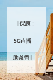 保康：5G直播助茶香