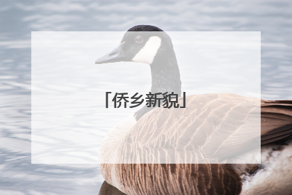 侨乡新貌