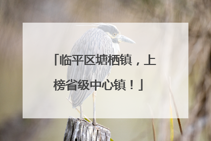 临平区塘栖镇，上榜省级中心镇！