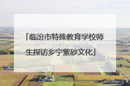 临汾市特殊教育学校师生探访乡宁紫砂文化