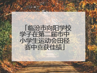 临汾市向阳学校学子在第二届市中小学生运动会田径赛中喜获佳绩