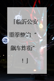 临沂公安重拳整治“飙车炸街”！