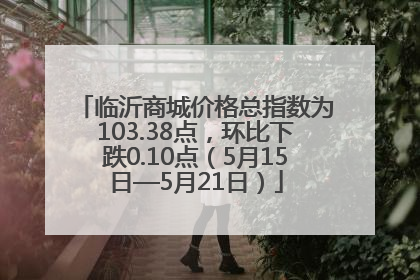 临沂商城价格总指数为103.38点，环比下跌0.10点（5月15日—5月21日）