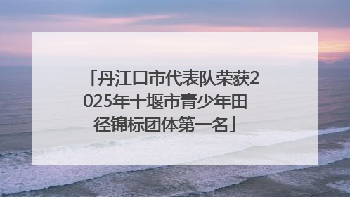 丹江口市代表队荣获2025年十堰市青少年田径锦标团体第一名
