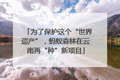 为了保护这个“世界遗产”，蚂蚁森林在云南再“种”新项目