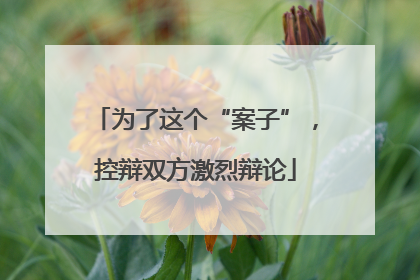 为了这个“案子”，控辩双方激烈辩论