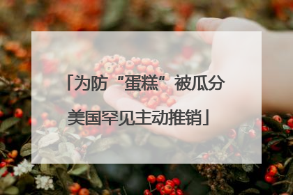 为防“蛋糕”被瓜分 美国罕见主动推销