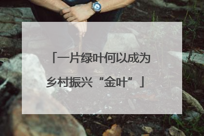 一片绿叶何以成为乡村振兴“金叶”