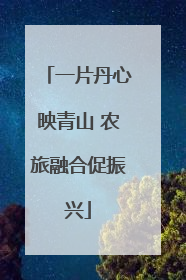 一片丹心映青山 农旅融合促振兴