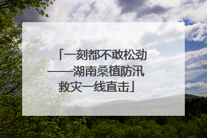 一刻都不敢松劲——湖南桑植防汛救灾一线直击