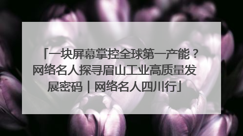 一块屏幕掌控全球第一产能？网络名人探寻眉山工业高质量发展密码｜网络名人四川行