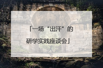 一场“出汗”的研学实践座谈会