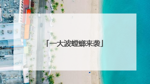 一大波螳螂来袭