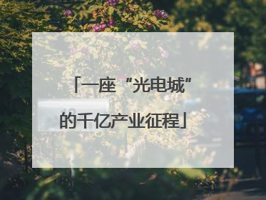 一座“光电城”的千亿产业征程