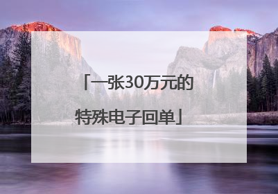 一张30万元的特殊电子回单