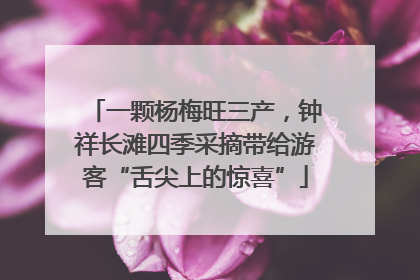 一颗杨梅旺三产，钟祥长滩四季采摘带给游客“舌尖上的惊喜”