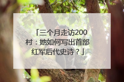 三个月走访200村：她如何写出首部红军后代史诗？